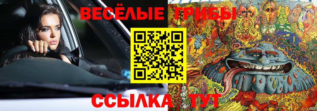 купить наркоту  Галлюциногенные грибы Psilocybe  Вход с VPN  Михайловка 